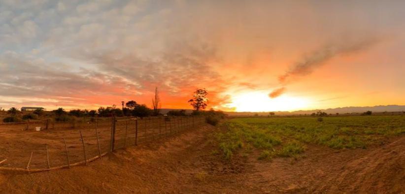 Pureplaas Self Catering Volmoed Oudtshoorn Klein Karoo Lägenhet Exteriör bild