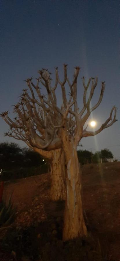 Pureplaas Self Catering Volmoed Oudtshoorn Klein Karoo Lägenhet Exteriör bild