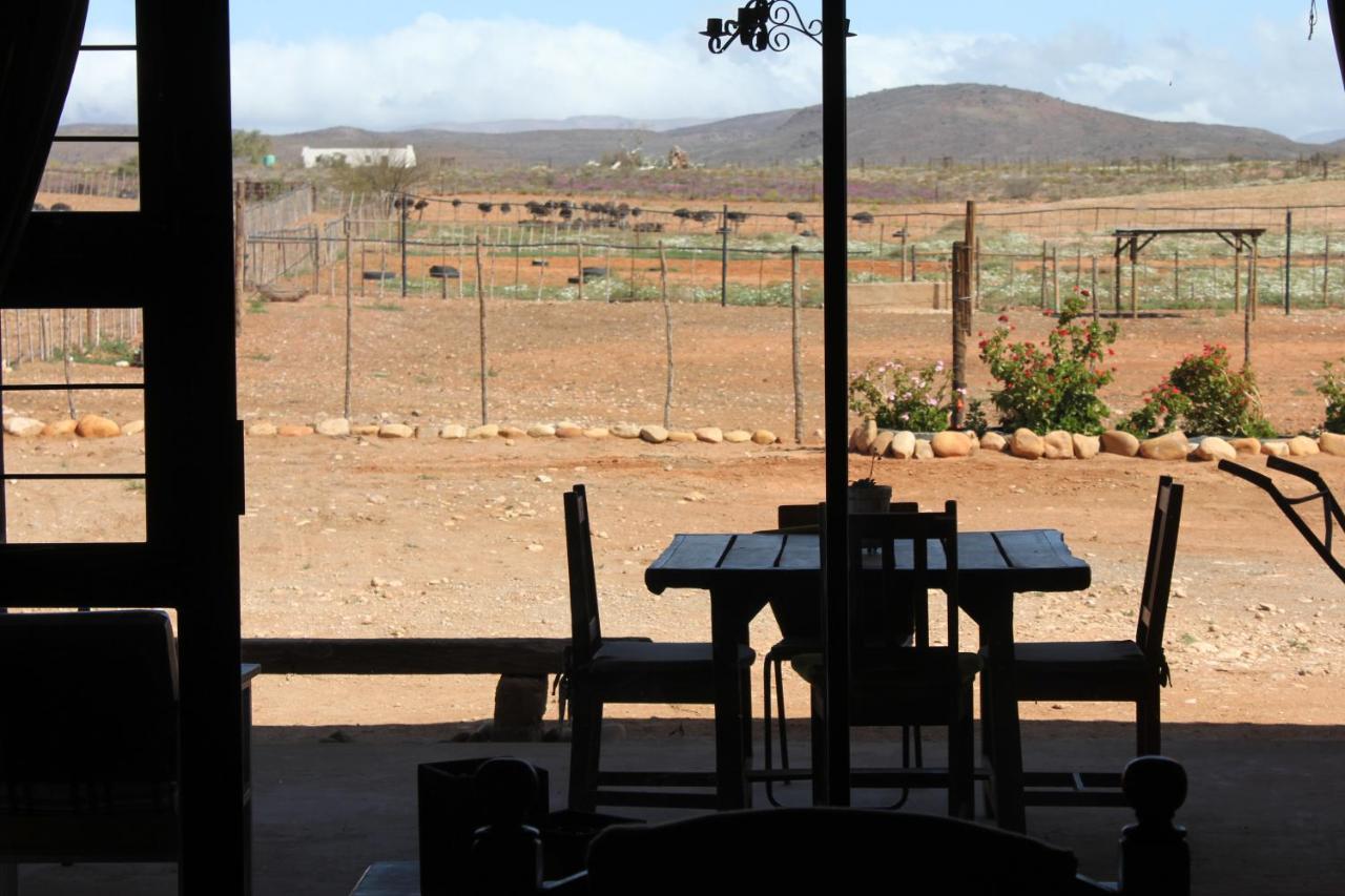 Pureplaas Self Catering Volmoed Oudtshoorn Klein Karoo Lägenhet Exteriör bild